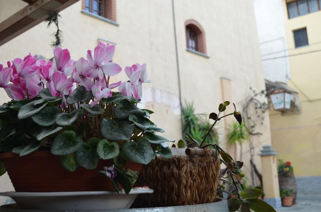 Agriturismo Del Pigato - Bio Vio Albenga Exterior photo